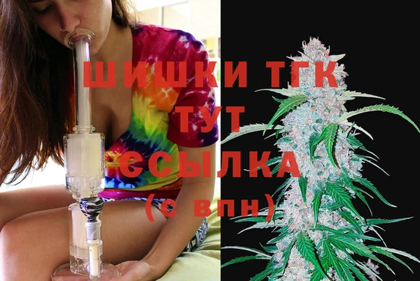 эйфоретик Аркадак
