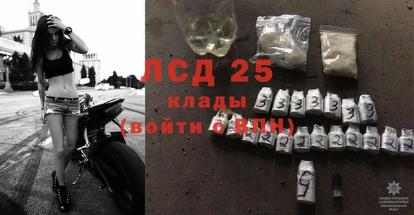эйфоретик Аркадак