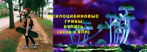 эйфоретик Аркадак