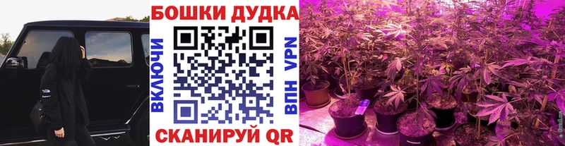 купить закладку  Вяземский  Бошки Шишки ГИДРОПОН 